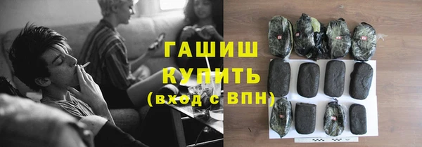хмурый Каменка