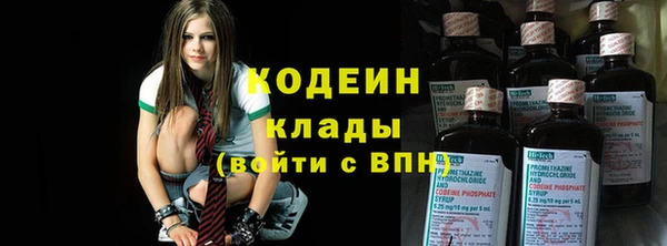 хмурый Каменка