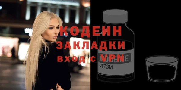 хмурый Каменка