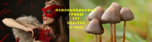 спайс Каменногорск