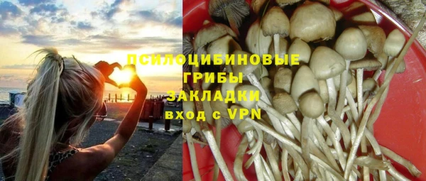 марки lsd Инта