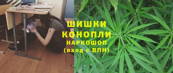 хмурый Каменка