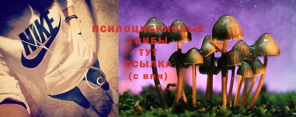 спайс Каменногорск