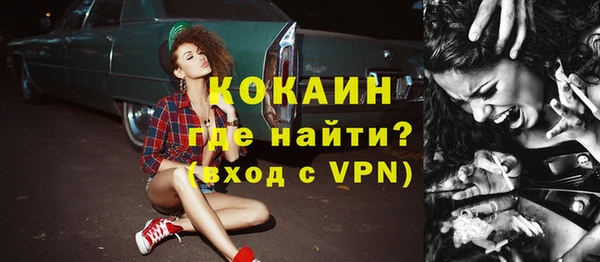 хмурый Каменка