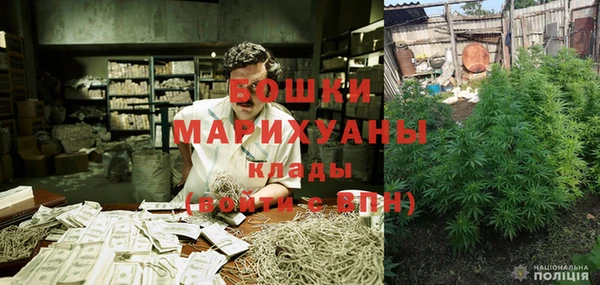хмурый Каменка